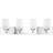 4 - Light Dimmable Vanity Light