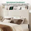 Lit plateforme Queen Size avec tête de lit ajustable et tiroirs de rangement, beige-695053007-695053005