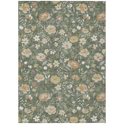 Machine Washable Indoor/Outdoor Chantille ACN2438 Floral Rug