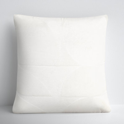 Joshelin 20" x 20" Embroidered Pillow Cover & Insert