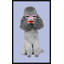Poodle Lips V Print by Jeffrey Goodman-74687388-75028788