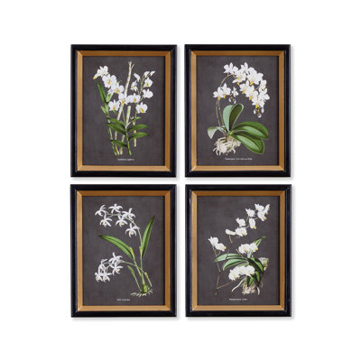 Pinar Orchid Study Prints, Set of 4