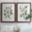 «Magnolia Morning I», reproduction encadrée de qualité supérieure - prête à être accrochée-152898346-152898348