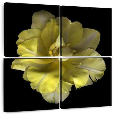 Harnek Yellow Tulip I