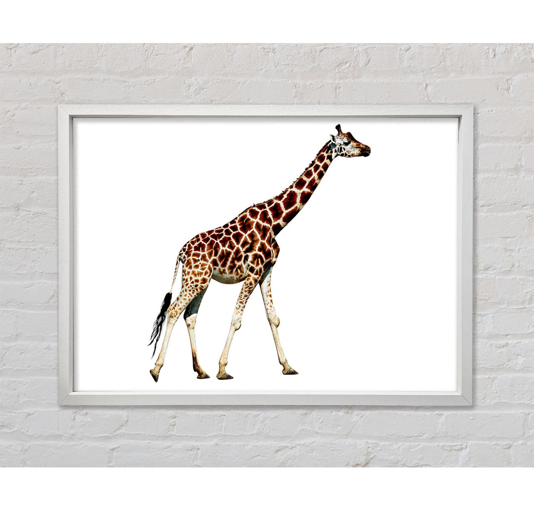 Giraffe Walk - Druck