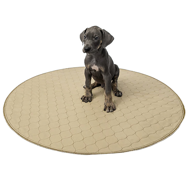 Coussin pour chien de dressage rond et imperméable 56 po x 56 po beige
