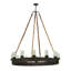 12 - Light Chandelier