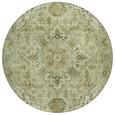 Machine Washable Indoor/Outdoor Colman ACN2164 Global Rug