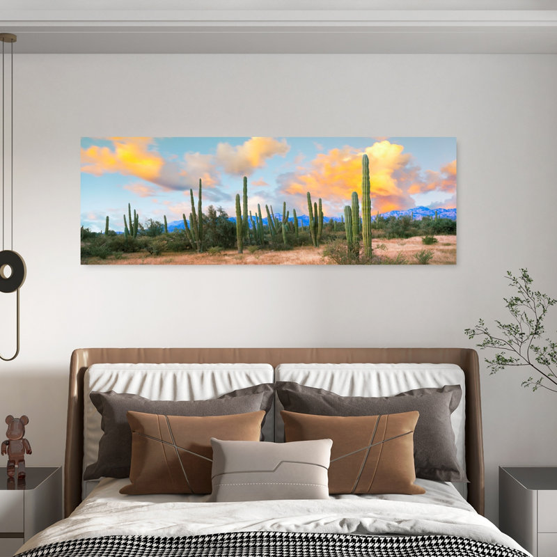 Cardon Cactus Plants In A Forest Loreto Baja California Sur Mexico by Leo L. Larson - Wrapped Canvas Panoramic Print