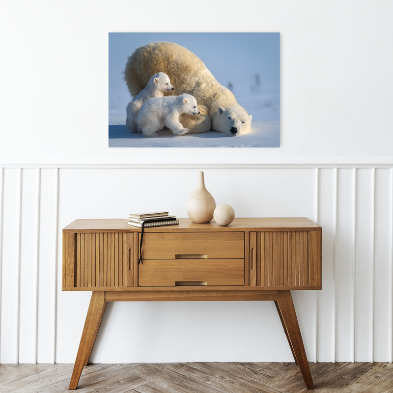 Ours polaire au repos, famille abstraite, ours contemporain, faune, impression murale, H 16 po x l 24 po