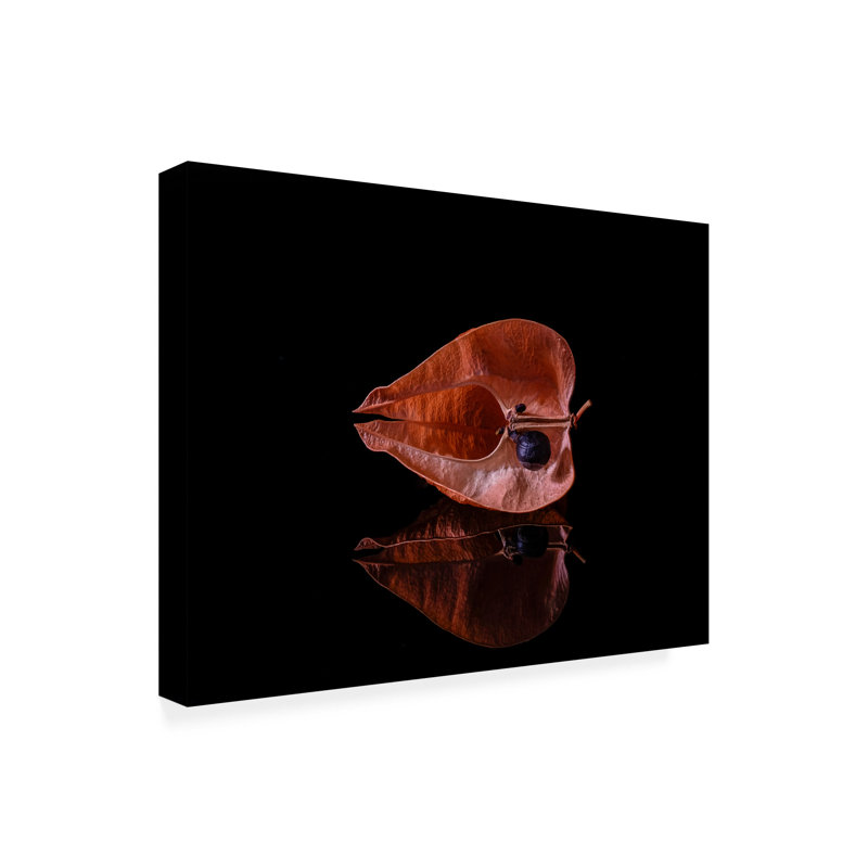 Art sur toile simple à graine par thierry thierry, H 14 po x l 19 po