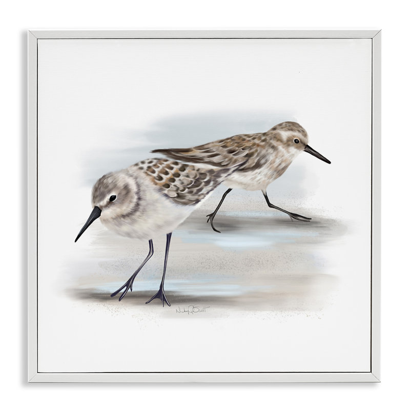 Paire de bécasseaux sur une plage de sable - Petits oiseaux nautiques - Peinture, Giclée encadrée blanc bord de mer
