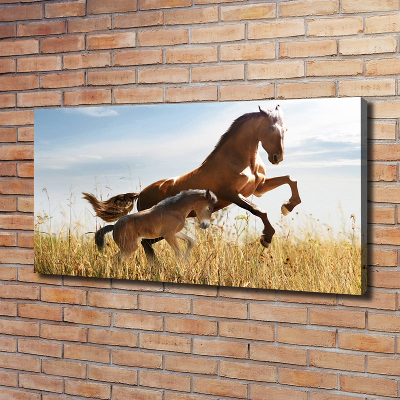 Mare With Foal - Wrapped Canvas Print