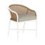 Havana Arm Chair-83259845-130056212-130056227