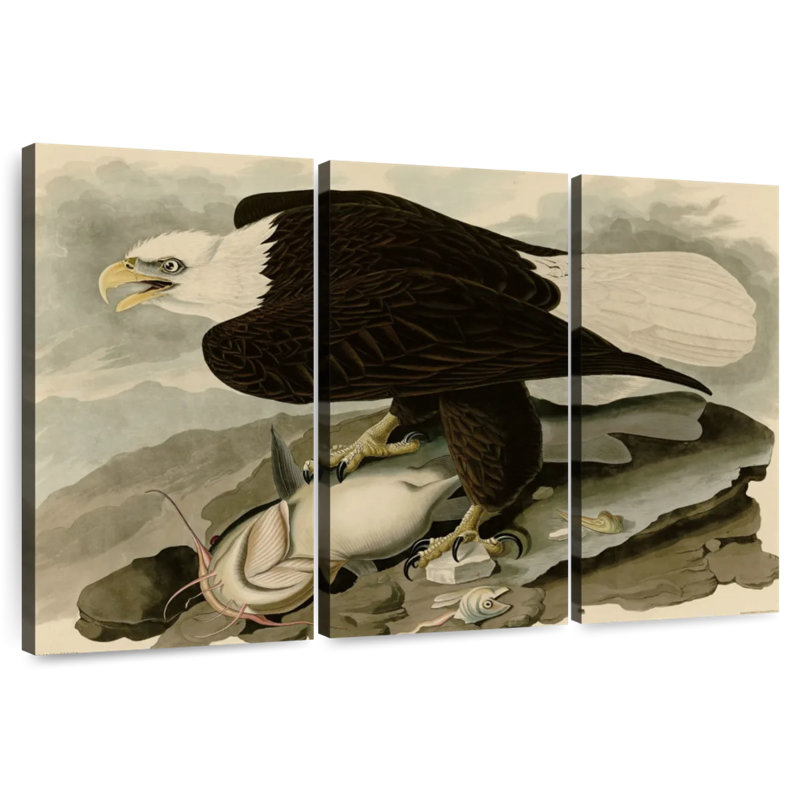 Brampt Whiteheaded Eagle, 42" H x 65" W