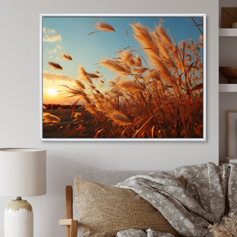 " Golden Grass Field at Sunrise " Color Photography Print, White Floater Framed, 30" H x 40" W