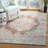 Felty Oriental Gray/Rust Area Rug-1931958156