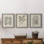 Antique Black and White Botanical VII - Ensemble de 3 reproductions d'art sur toile-282180061-282180060