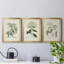 Antique Turpin Botanical VII - Ensemble de 3 peintures sur toile encadrées-1789316822-1789316825