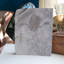 Assiette fossile Eurypterid. Lang's Quarry, Herkimer County, New York