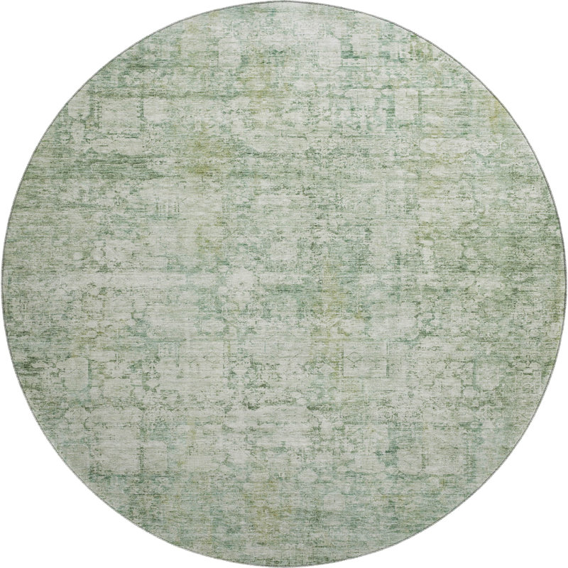 Tapis moderne de qualité supérieure lavable à la machine AMF1764 Maag, Rond 8 pi