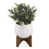 Blanc est en rupture de stock