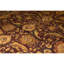 Wool Oriental Area Rug
