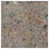 Gris fossile