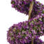 Faux Topiary in Planter-93622446-112376026