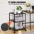 23.6'' H x 16.5'' W Printer Stand with Wheels