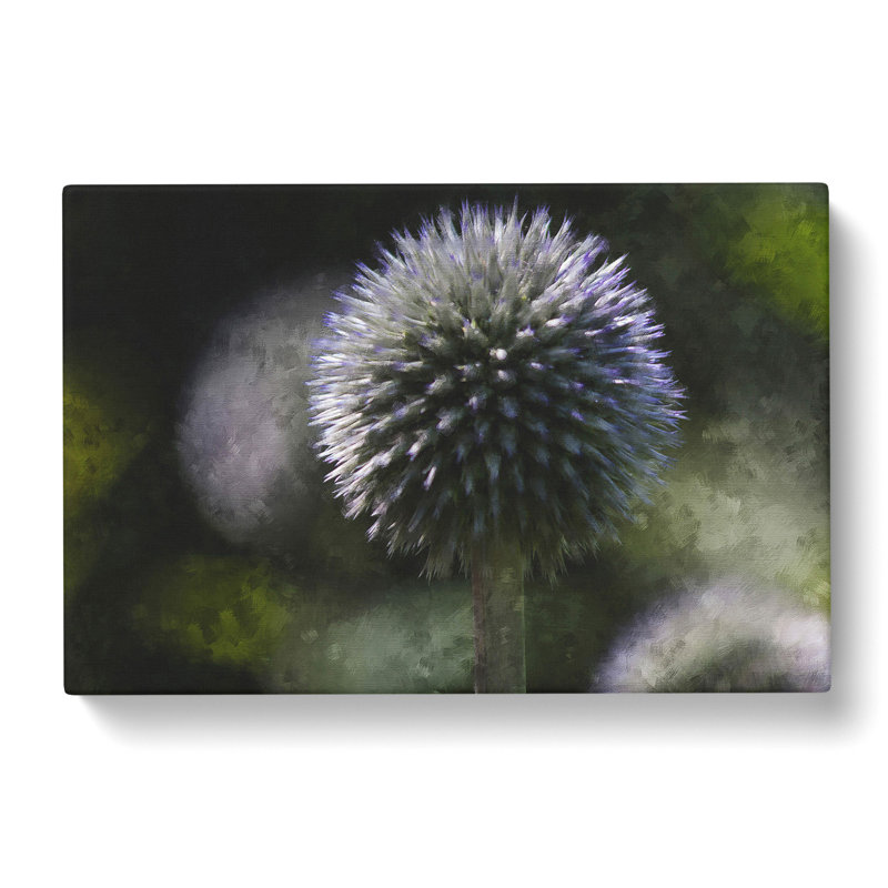 Thistle Flower Vol.4 - Wrapped Canvas, 50cm H x 76cm W x 3cm D