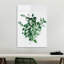 Boze Wall Decor