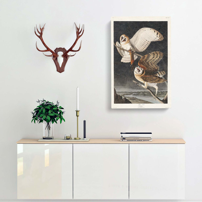 Barn Owls by John Audubon - Wrapped Canvas Painting, 76cm H x 50cm W x 3cm D