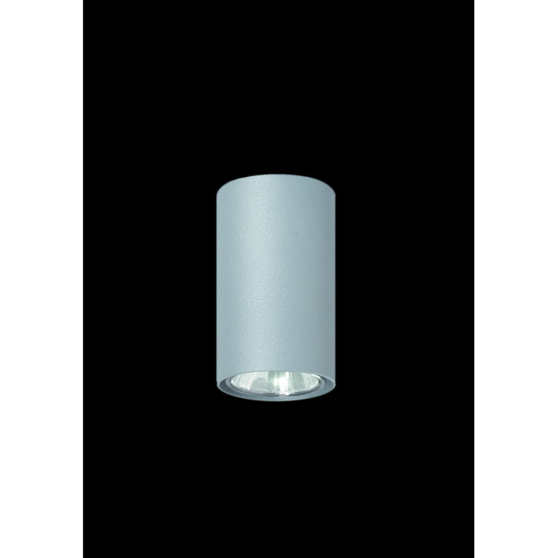 Sachin Flush Mount, Grey