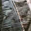 Photos des clients 1 de 2