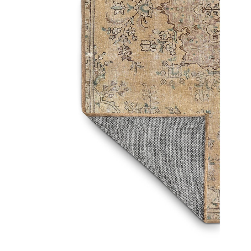 Cloetta Oriental Indoor Rug, Rectangle 7' x 9'