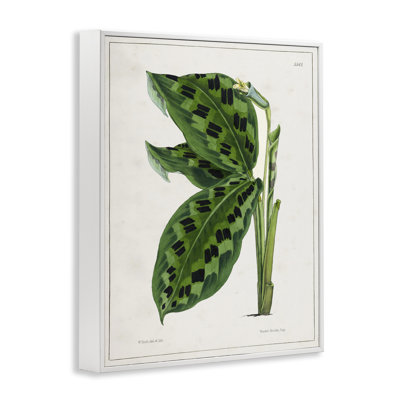 «Gullee Art» par Tina Higgins Designs, Inc.