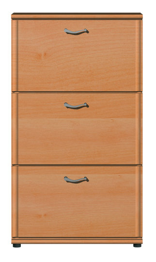 Shoe Storage Cabinet