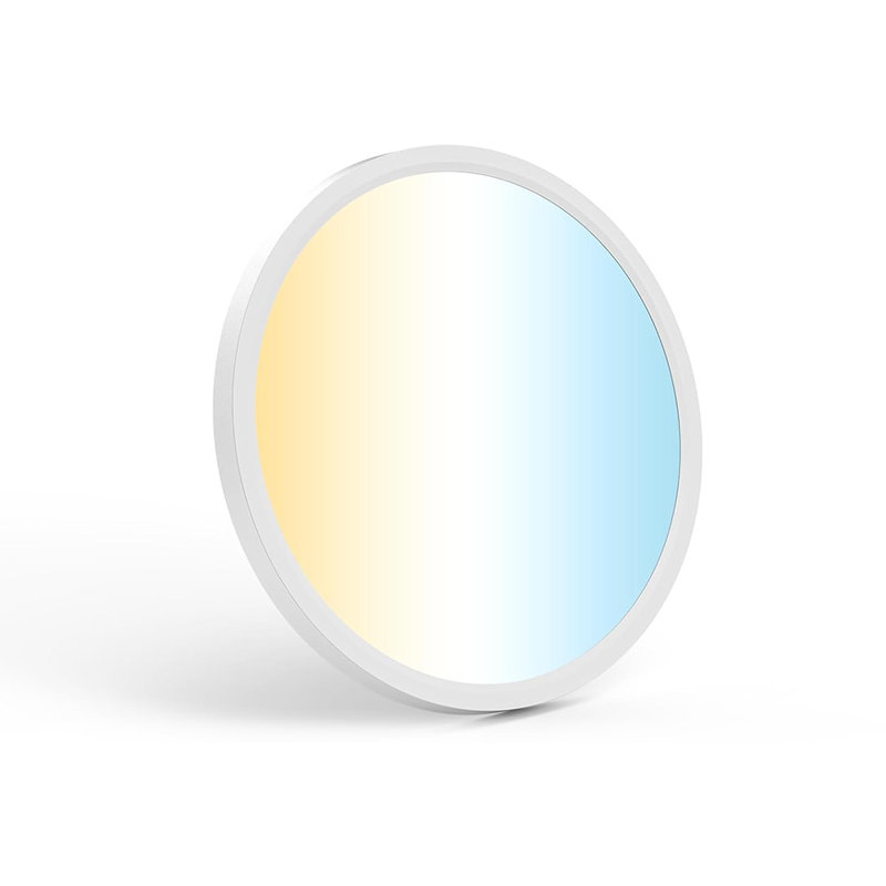 12Inch Flush Mount LED Ceiling Light,2700K-6500K 5 Color Temperature Selectable Ceiling Lights,24W 3200LM Low Profile Ceiling Light For Bedroom Kitchen Hallway Bathroom