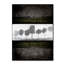 «Black Tree 2» par LightBoxJournal - impression sur toile-21938161