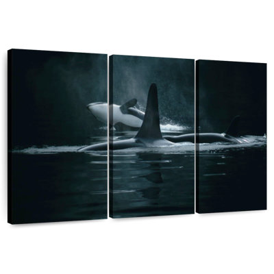 Brampt Swimming Orca Whales