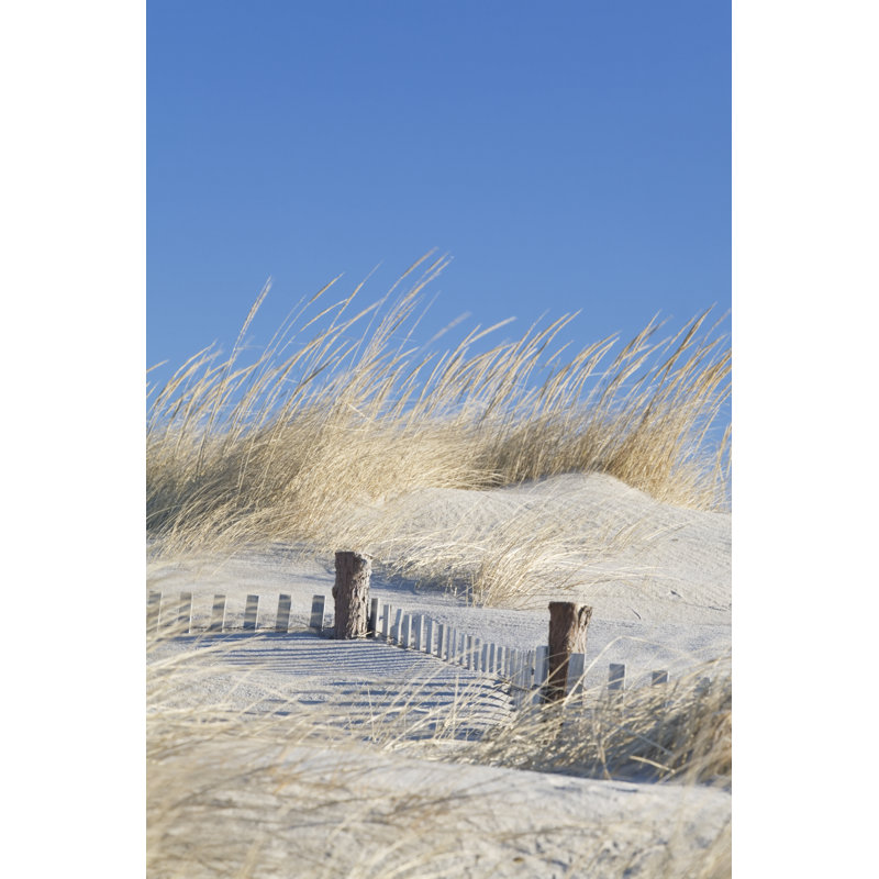 Fence In The Dunes by JackJM - No Frame Art Prints on Canvas, 30cm H x 20cm W