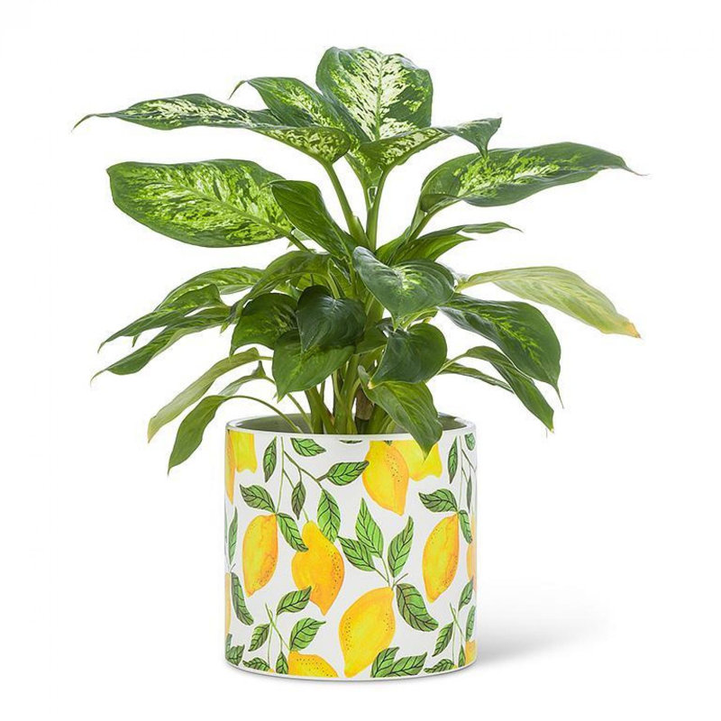 Sunny Lemons Planter