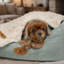 Rural Retreats Faux Fur Pet Blanket