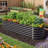 Thaliyah Metal Raised Garden Bed
