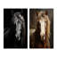«Black White Horse Portrait Vibrant» - 2 pièces-171480709-171480764