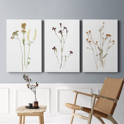 Pressed Botanical I - Ensemble de 3 reproductions sur toiles tendues