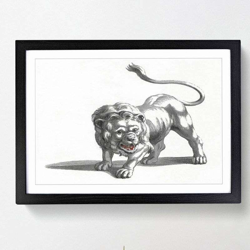 Lion by Johan Teyler - Picture Frame Drawing Print, 48cm H x 65cm W x 2cm D, Black Framed