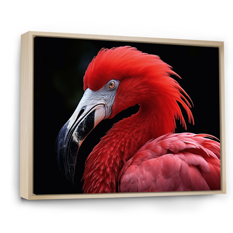 Flamants rouges rougissant I - reproduction sur toile, Cadre naturel flottant, H 16 po x l 32 po