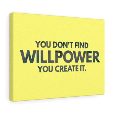 You Don't Find Willpower 1 Piece Wrapped Canvas Wall Art